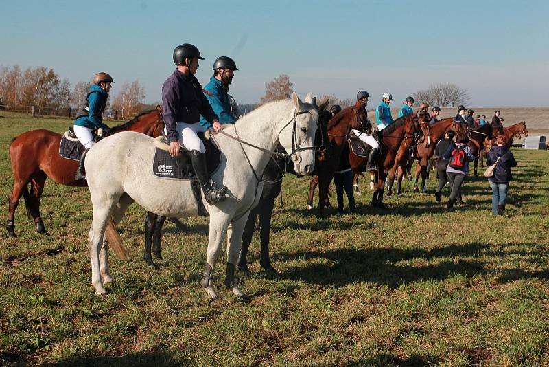 V sobotu 26. října na tradiční Hubertově jízdě na závěr jezdecké sezony se v Proseči pod Křemešníkem představilo bezmála čtyřicet koní a jezdců.