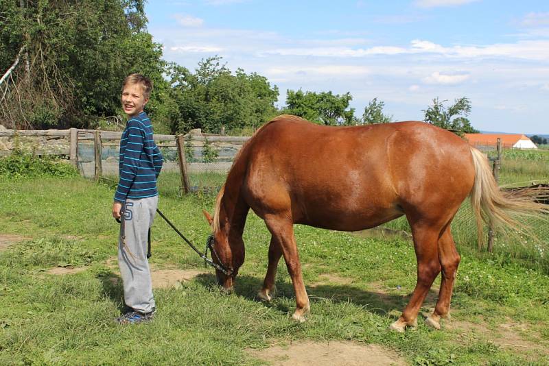 Malí táborníci se na Statku u zvířátek v Nové Bukové starají o dobytek, drůbež a domácí zvířata, také se učí vyrábět sýr nebo máslo a pomáhají s vařením. Jednou z jejich oblíbených aktivit je také skákání do sena.  