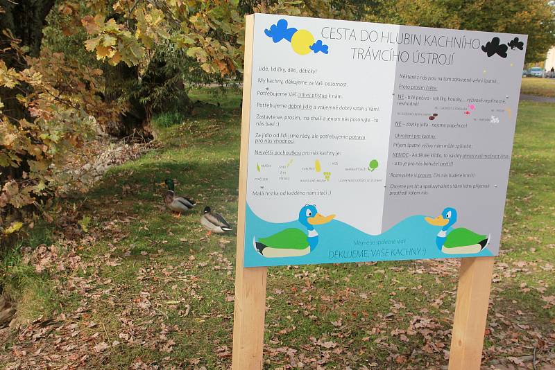 U Strachovských rybníků v Pelhřimově stojí informační cedule ohledně správného krmení kachen.