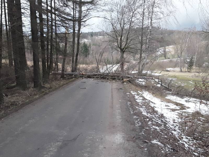 Hasiči odstraňují spadané stromy a větve na silnicích Vysočiny.