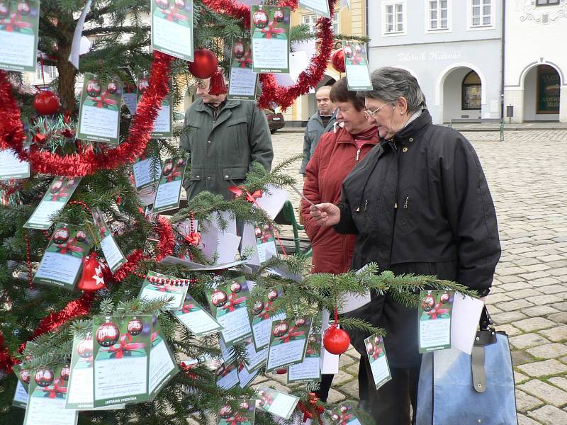 Strom splněných přání v Pelhřimově