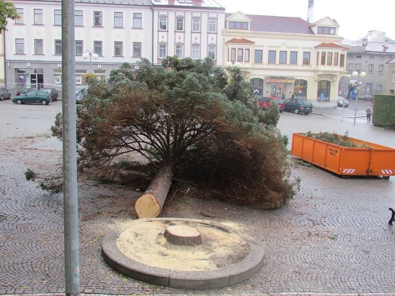 Ve čtvrtek skáceli smrk, který na náměstí rostl už ve 40. letech 20. století. Měřil kolem dvaceti metrů. 