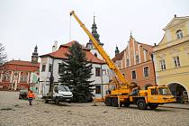 Kácení vánočního stromu a jeho následné umístění na Masarykově náměstí v Pelhřimově.