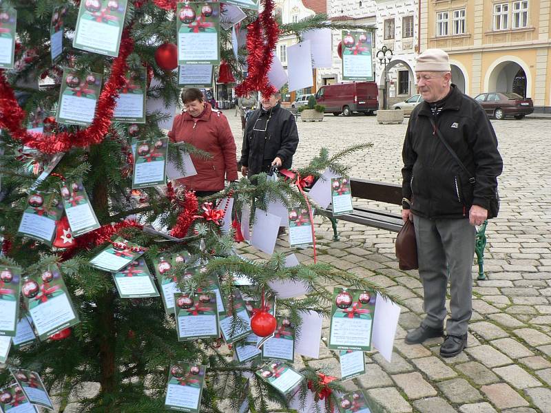 Strom splněných přání v Pelhřimově