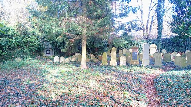 Židovský hřbitov Nová Včelnice. Stojí tu okolo stovky náhrobků