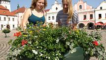 Pelhřimovské Masarykovo náměstí pro letošní turistickou sezonu zkrášlily nové květináče. Záměr se líbí nejenom turistům, ale i obyvatelům města.