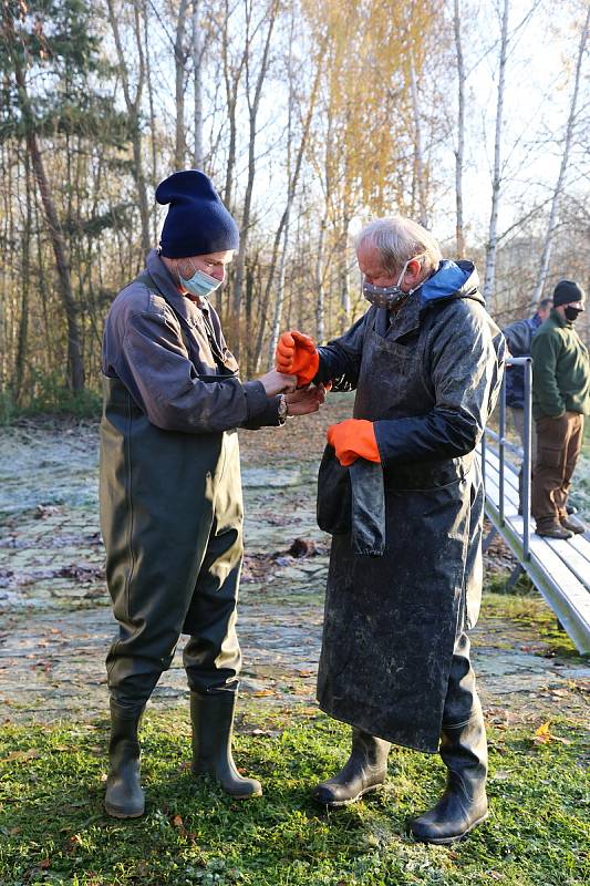 Rybáři lovili v sobotu 7. listopadu rybník v Radětíně.