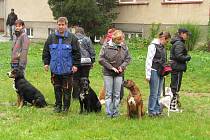 Členové pelhřimovského kynologického klubu chodí po ukázkách co chvíli. Důvod je zřejmý, totiž šířit povědomí o výcviku psů a také nabádat jejich majitele ke zodpovědnosti.
