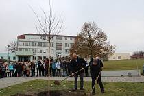 Základní škola v Kamenici nad Lipou; Foto: Pavlína Cimplová ze ZŠ Kamenice nad Lipou