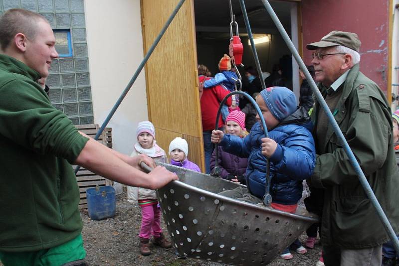 Den otevřených dveří u pacovských rybářů nabídl ukázku živých ryb, které obdivovaly především děti. Živo bylo i v kuchyni, kde se obalovaly rybí řízky a připravovaly další chutné  pokrmy.