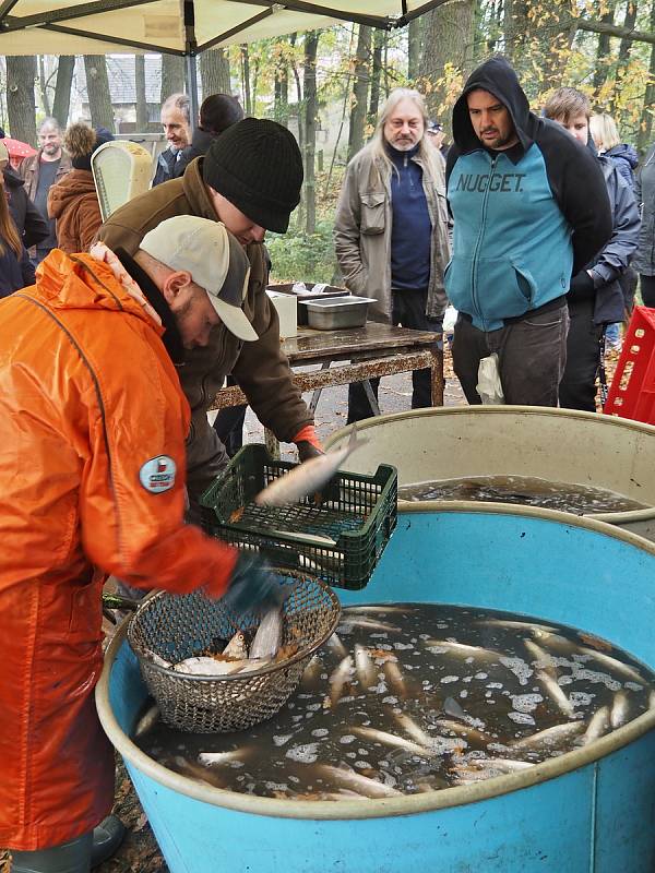 Tradiční výlov Martínkova rybníka v Hříběcí