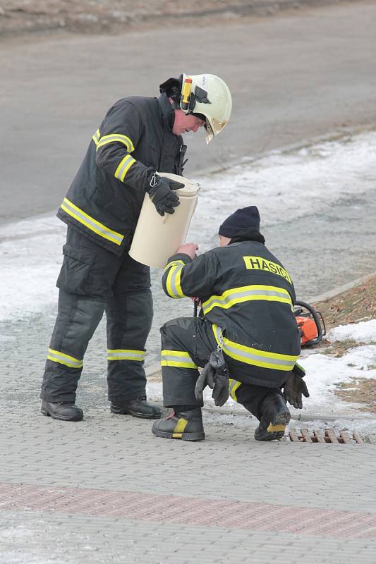 U kácení přestárlých stromů asistovali hasiči s vysokozdvižnou plošinou i horkým čajem.