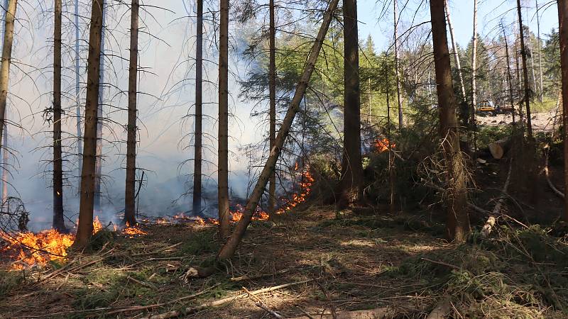 Požár u sedlické přehrady v pondělí 6. dubna.