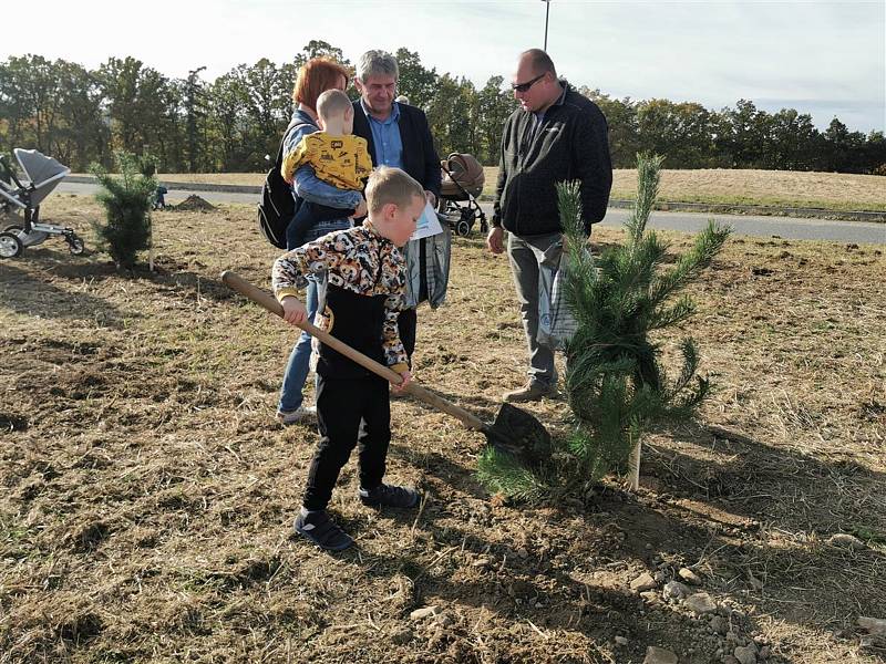 V Pelhřimově vysadili tisící strom za dítě; Foto z pelhřimovské radnice