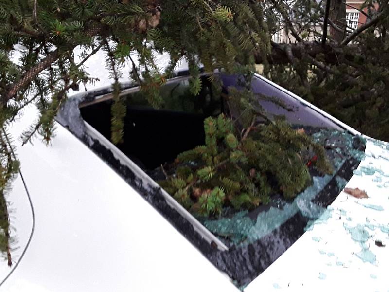V pelhřimovské nemocnici zasahovali hasiči u pádu stromu na zaparkovaný osobní automobil.