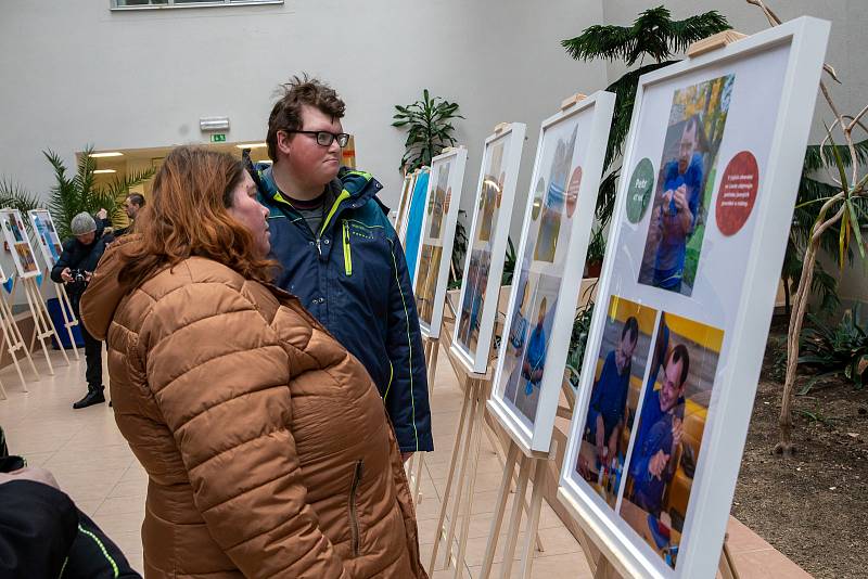 Výstava Modré srdce Jeřabiny v atrium Nemocnice Pelhřimov.