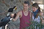 Studenti Veronika Makovcová a Standa Němec odjeli na indonéský ostrov Bali poznat mimo jiné tamní faunu. Na snímku jsou se zástupcem ptačí říše, zoborožcem řasnatým.