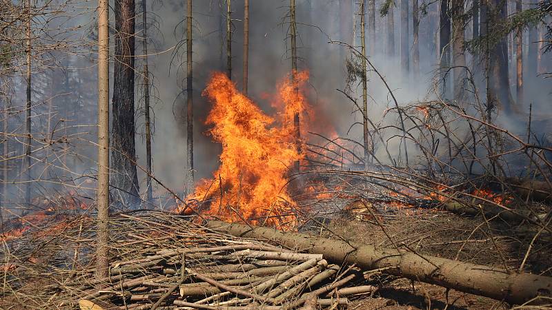 Požár u sedlické přehrady v pondělí 6. dubna.