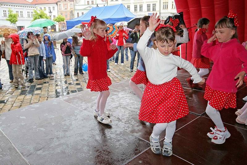 Den s Deníkem v Pelhřimově - 20. květen 2008 