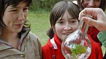 Den Země v Děkanské zahradě v Pelhřimově oslavili školáci poznávacími soutěžemi nebo třeba výrobou svíček či krmítek. 