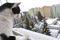 V úterý bylo v Pelhřimově pět stupňů pod nulou a padal sníh.