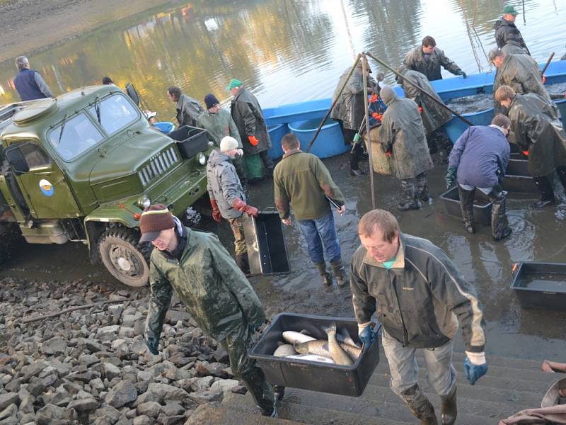 Humpolečtí rybáři pozvali širokou veřejnost na víkendové výlovy rybníků Cihelna a Dvorák. Společenskou událost si užívali všichni bez rozdílu věku.