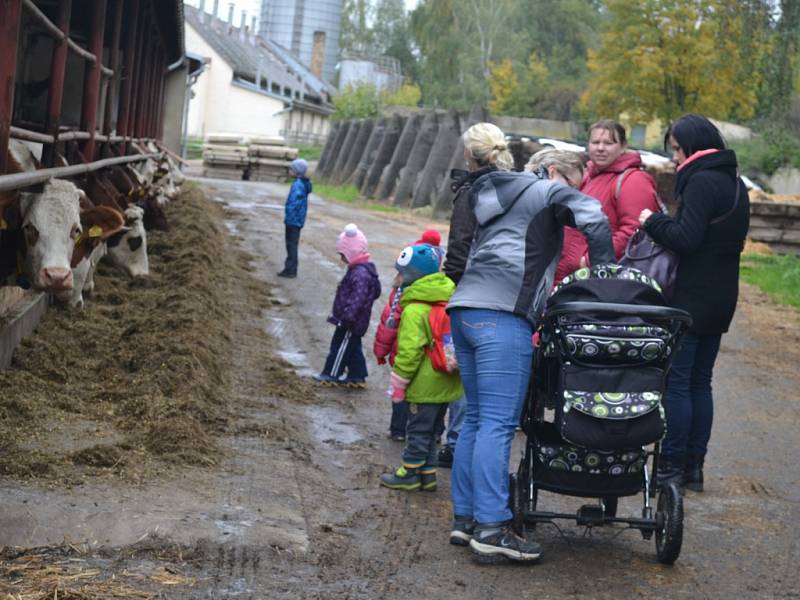 Les pod humpoleckým Orlíkem se v sobotu odpoledne proměnil v pohádkové království.