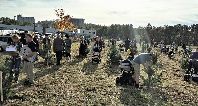 V Pelhřimově vysadili tisící strom za dítě; Foto z pelhřimovské radnice