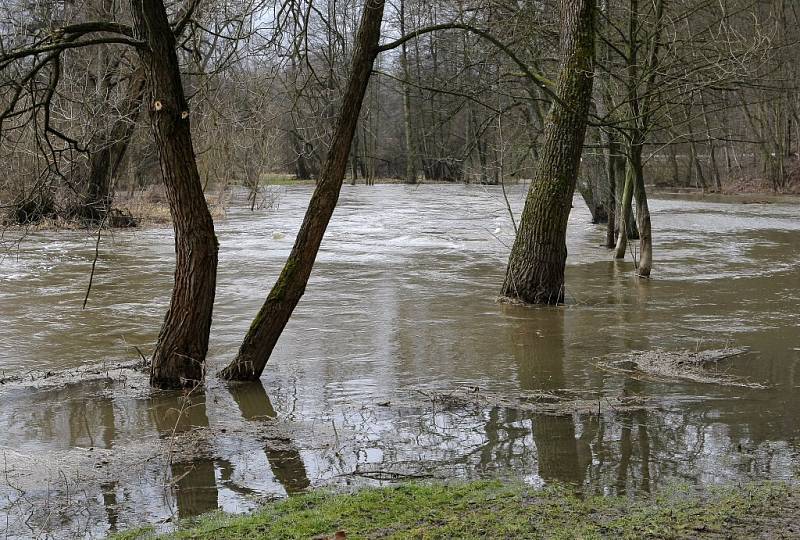 Sedlická přehrada na Pelhřimovsku.