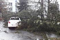 V pelhřimovské nemocnici zasahovali hasiči u pádu stromu na zaparkovaný osobní automobil.