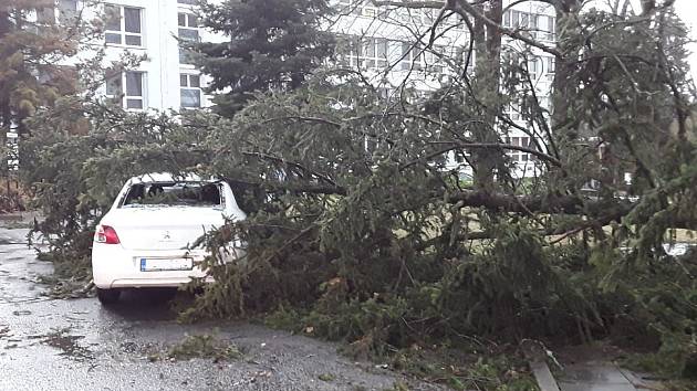 V pelhřimovské nemocnici zasahovali hasiči u pádu stromu na zaparkovaný osobní automobil.