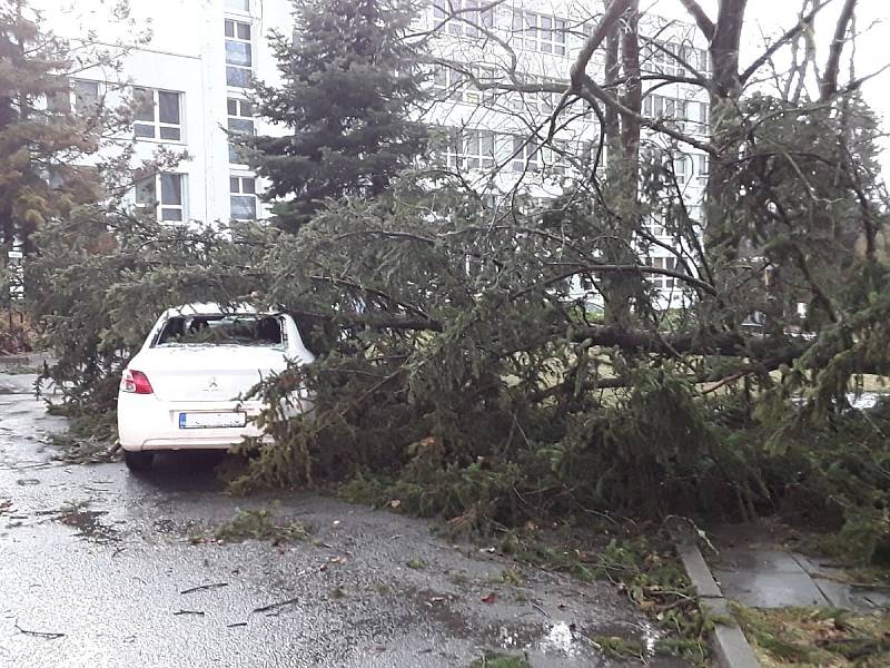 V pelhřimovské nemocnici zasahovali hasiči u pádu stromu na zaparkovaný osobní automobil.