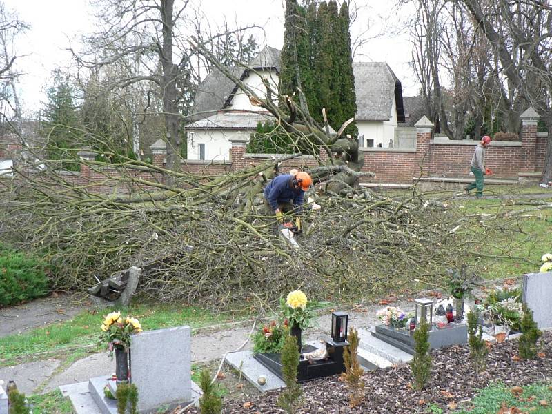 V úterý padl k zemi například strom u hřbitovní zdi v lokalitě u obřadní síně. 