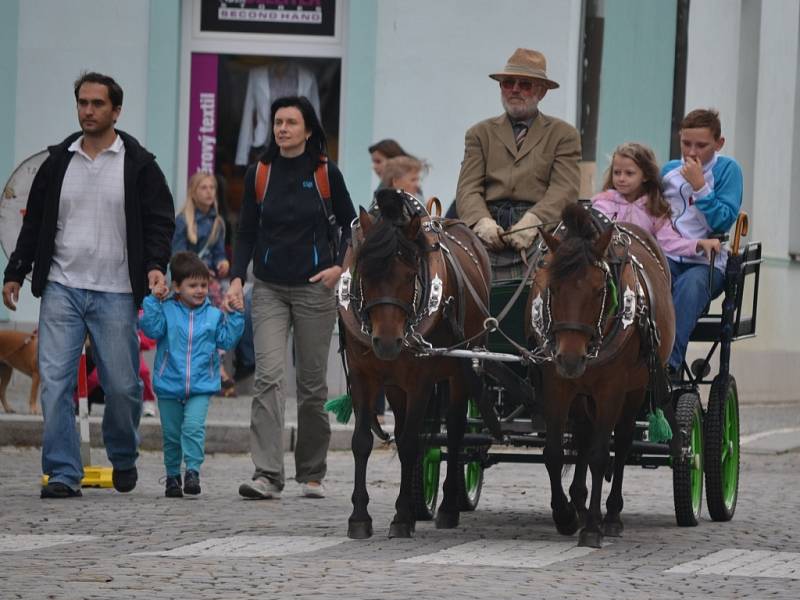 Zlatá podkova v Humpolci se ani letos neobešla bez tradičního průvodu koní městem.