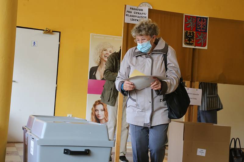 Na krajské a senátní volby čekali před kinem Vesmír v Pelhřimově zájemci už před druhou hodinou.