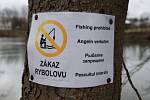 Vícejazyčné nápisy zakazující rybolov v Cihelském rybníku v Humpolci.