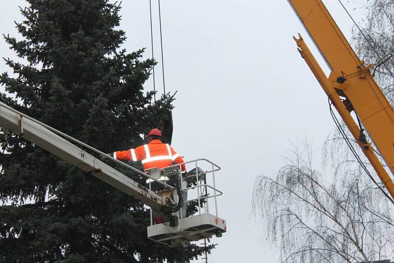 V úterý ráno pokáceli pracovníci Technických služeb města Pelhřimova v Družstevní ulici zhruba třináct metrů vysoký smrk pichlavý. 