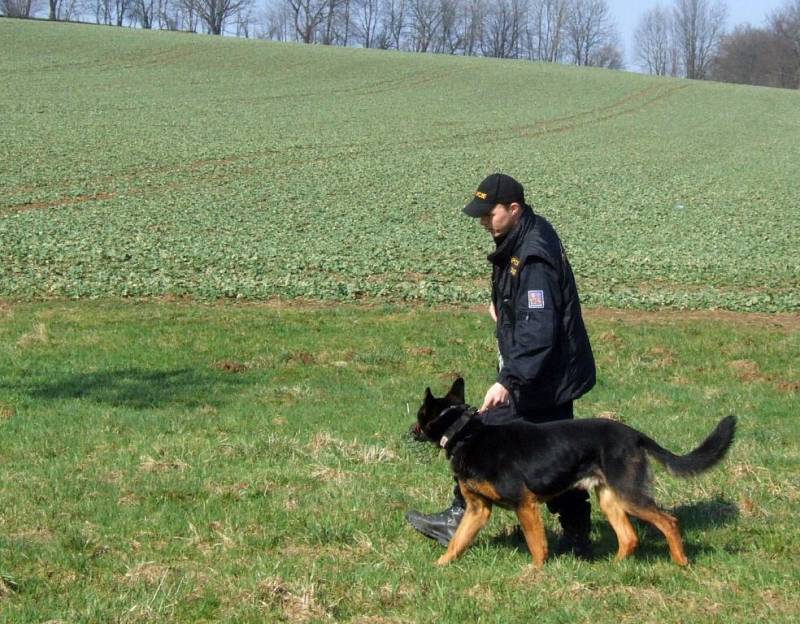 Pátrání policistů. Ilustrační foto