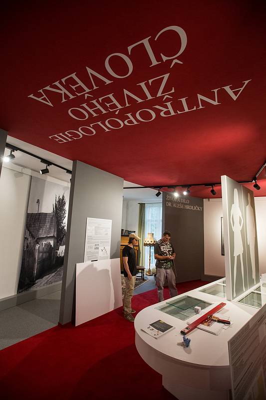 Muzeum Dr. Aleše Hrdličky v Humpolci dokončuje modernizaci antropologické expozice.