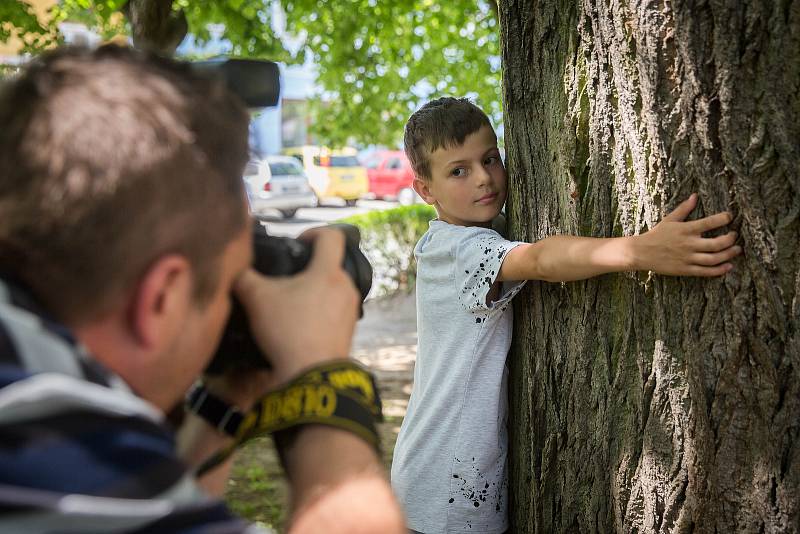 Lípa svobody na kamenickém náměstí postoupila mezi dvanáctku finalistek letošní celostátní ankety Strom roku.