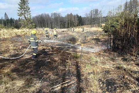 V lese u Žirovnice hořelo v úterý 21. března dopoledne. Foto: poskytl HZS Kraje Vysočina