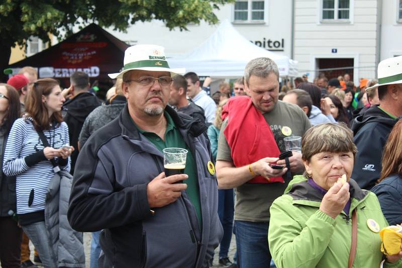 Během festivalu panovala skvělá nálada. Lidé tančili, skákali a zlatavý mok tekl proudem.