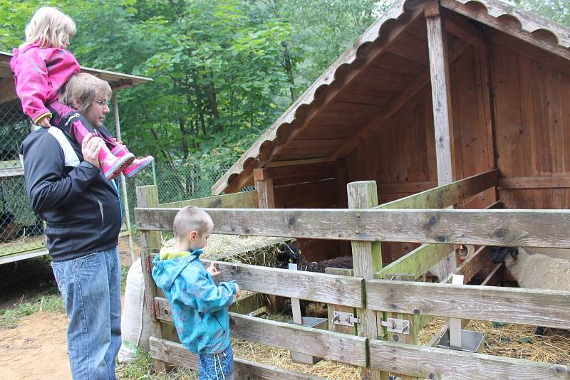 PESTRÁ NABÍDKA. Okresní výstava králíků, drůbeže a holubů v Pelhřimově. 