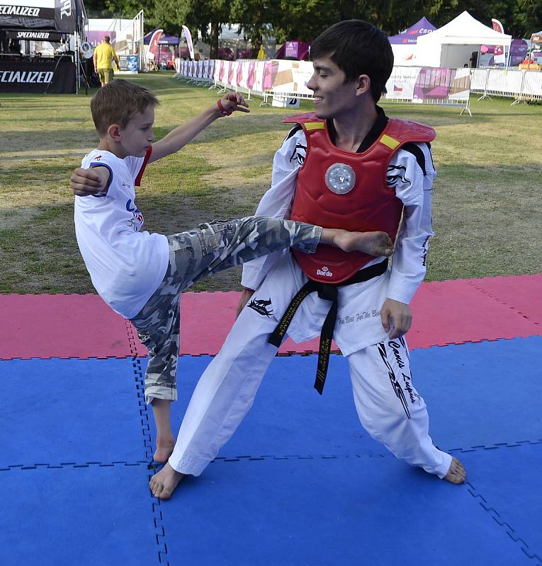 Taekwondisté na Olympijském festivalu v Brně.