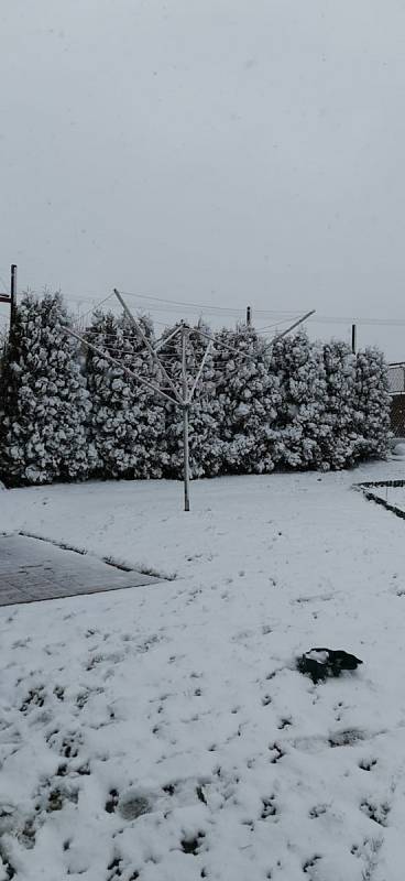 Sněhová nadílka z konce března na Pelhřimovsku.