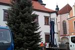 Vánoční strom na Masarykově náměstí v Pelhřimově.