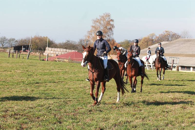 V sobotu 26. října na tradiční Hubertově jízdě na závěr jezdecké sezony se v Proseči pod Křemešníkem představilo bezmála čtyřicet koní a jezdců.