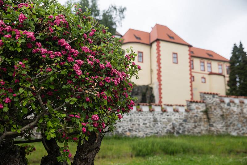 Hrad Kámen na Pelhřimovsku.