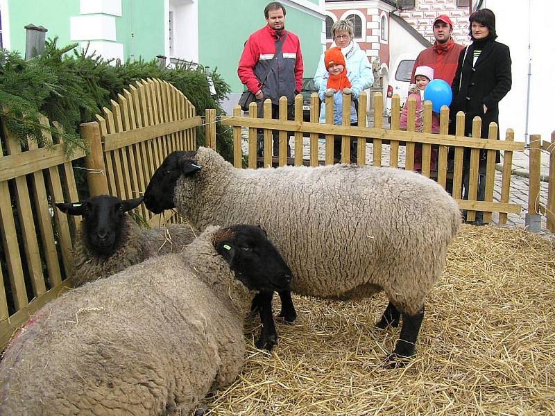 Poslední neděle před Štědrým dnem se blíží. A aby se lidé správně naladili na nadcházející vánoční čas, stačí, když vyrazí na pelhřimovské Masarykovo náměstí, kde je čeká zajímavý adventní program. 