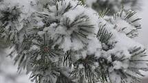 Meteorologové předpovídají další sněžení a varují před náledím.